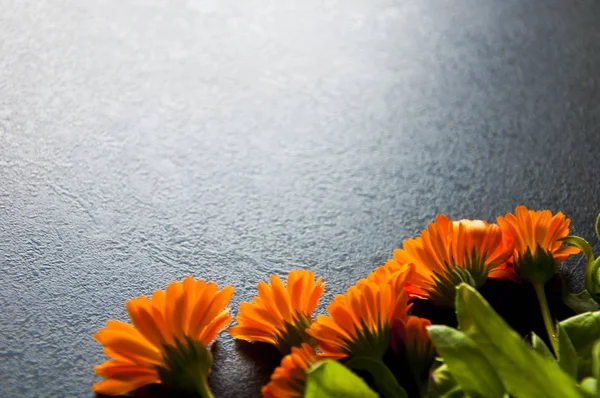 Een Heleboel Oranje Bloemen Een Zwarte Achtergrond — Stockfoto