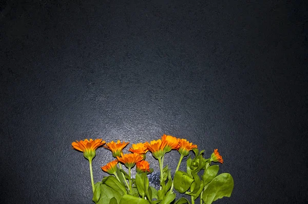 Hel Del Orange Blommor Svart Bakgrund — Stockfoto