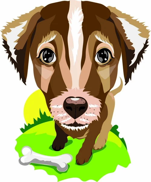 Perro Con Hueso Terrier Naturaleza Vector — Vector de stock