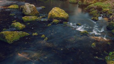 Yosunlu taşlar arasında akan küçük dere. Almanya Saksonya.