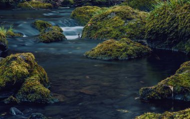 Yosunlu taşlar arasında akan küçük dağ nehri. Almanya Saksonya.