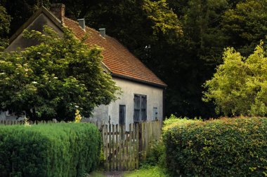 yaz aylarında yeşil ağaçlar arasında ev terk