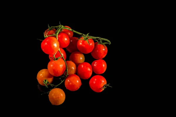 Tomatová třešeň — Stock fotografie
