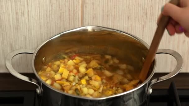 烹饪蔬菜炖菜 烹饪蔬菜炖菜时用木勺搅拌 — 图库视频影像