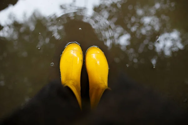 Yellow rubber boots in the water. Top view