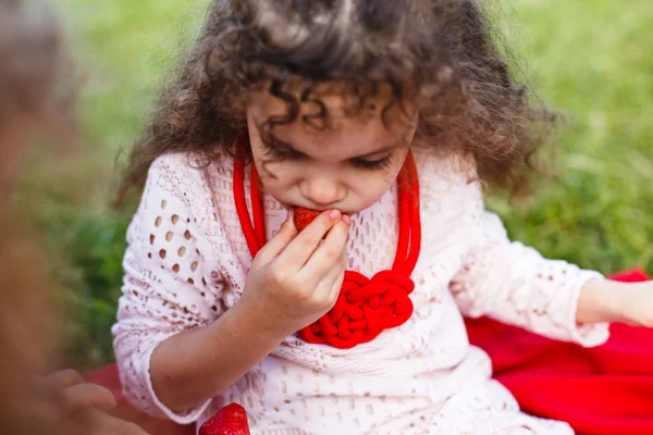 Niño Comiendo Fresas Campo Hierba Primavera —  Fotos de Stock