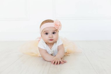 Cute baby on white background.Close up head shot of a caucasian baby girl, six months old baby clipart