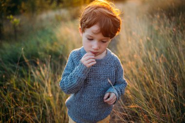 Sevimli küçük çocuk çocuk sonbahar parkta yürüyor