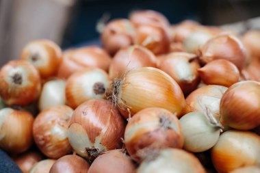 Taze soğan. Soğan arka plan. Olgun soğan. Piyasada soğan var. Organik çiftçi gıda