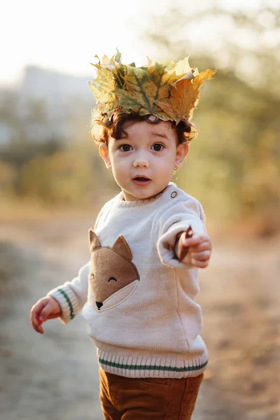 秋の公園の葉の冠を持つ肖像画の小さな男の子。かわいい幼児 — ストック写真