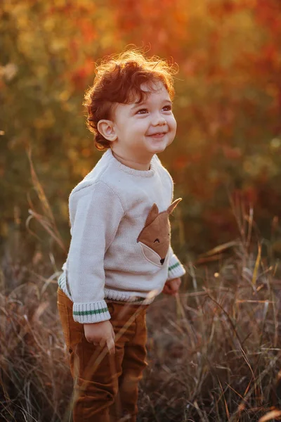日落时分,在秋天的公园里,一个甜美的、微笑的幼儿男婴的近照. 卷发男孩 — 图库照片