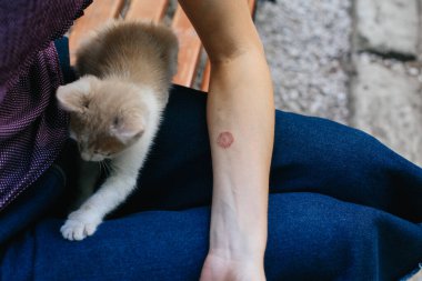 Eli Kollu Kelebek. Kedi hastalığı. Cilt problemi