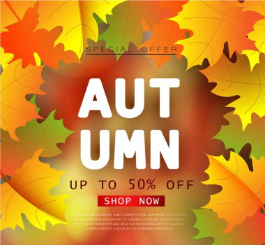Sonbahar Satılık el ilanı şablonla yazı. Parlak yaprakları düşer. Poster, kart, etiket, banner tasarımı.