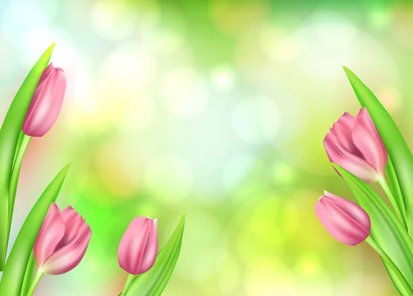 Printemps fleur beau fond avec des tulipes réalistes. Illustration vectorielle. Carte de voeux printemps — Image vectorielle