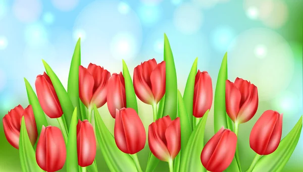 Flor de primavera hermoso fondo con tulipanes realistas. Ilustración de stock vectorial. Tarjeta de primavera saludo — Vector de stock