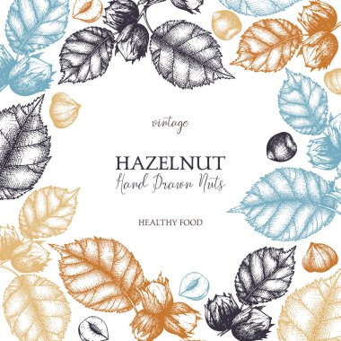 Hand drawn poster with hazelnuts and leaves on white background clipart