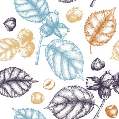 El fındık ile seamless modeli beyaz zemin üzerine çekilmiş.