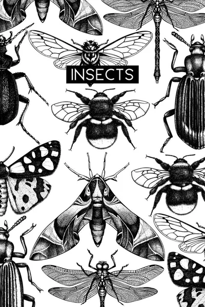 Böceklerin Farklı Türde Elle Çizilmiş Koleksiyonu — Stok Vektör