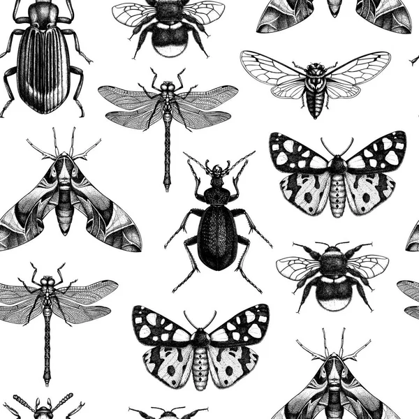 Modèle Dessiné Main Monochrome Avec Différents Types Insectes — Image vectorielle