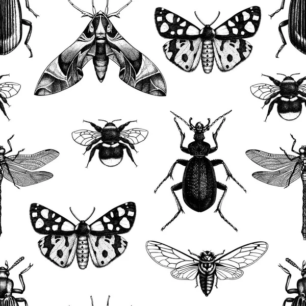 Modèle Dessiné Main Monochrome Avec Différents Types Insectes — Image vectorielle