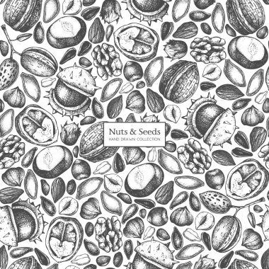 Hand drawn poster with different kinds of nuts and seeds on white background clipart