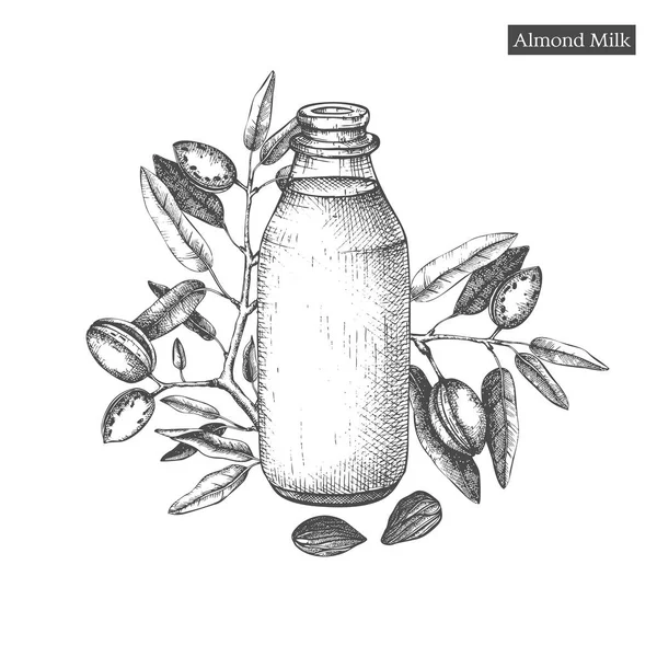 Tangan Digambar Botol Dengan Susu Almond Dengan Kacang Almond Pada - Stok Vektor