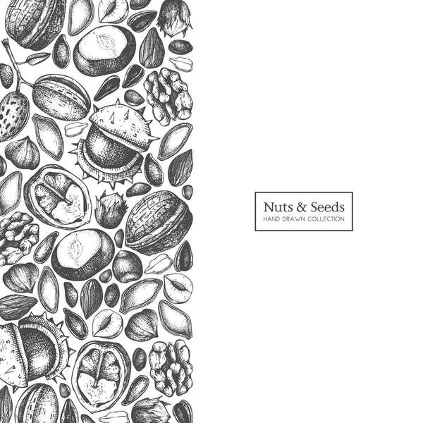 Рука Намальована Плакат Різними Видами Горіхів Насіння Білому Тлі — стоковий вектор