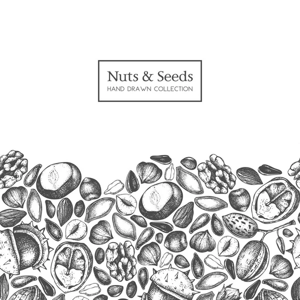 手绘海报与不同种类的坚果和种子在白色背景 — 图库矢量图片