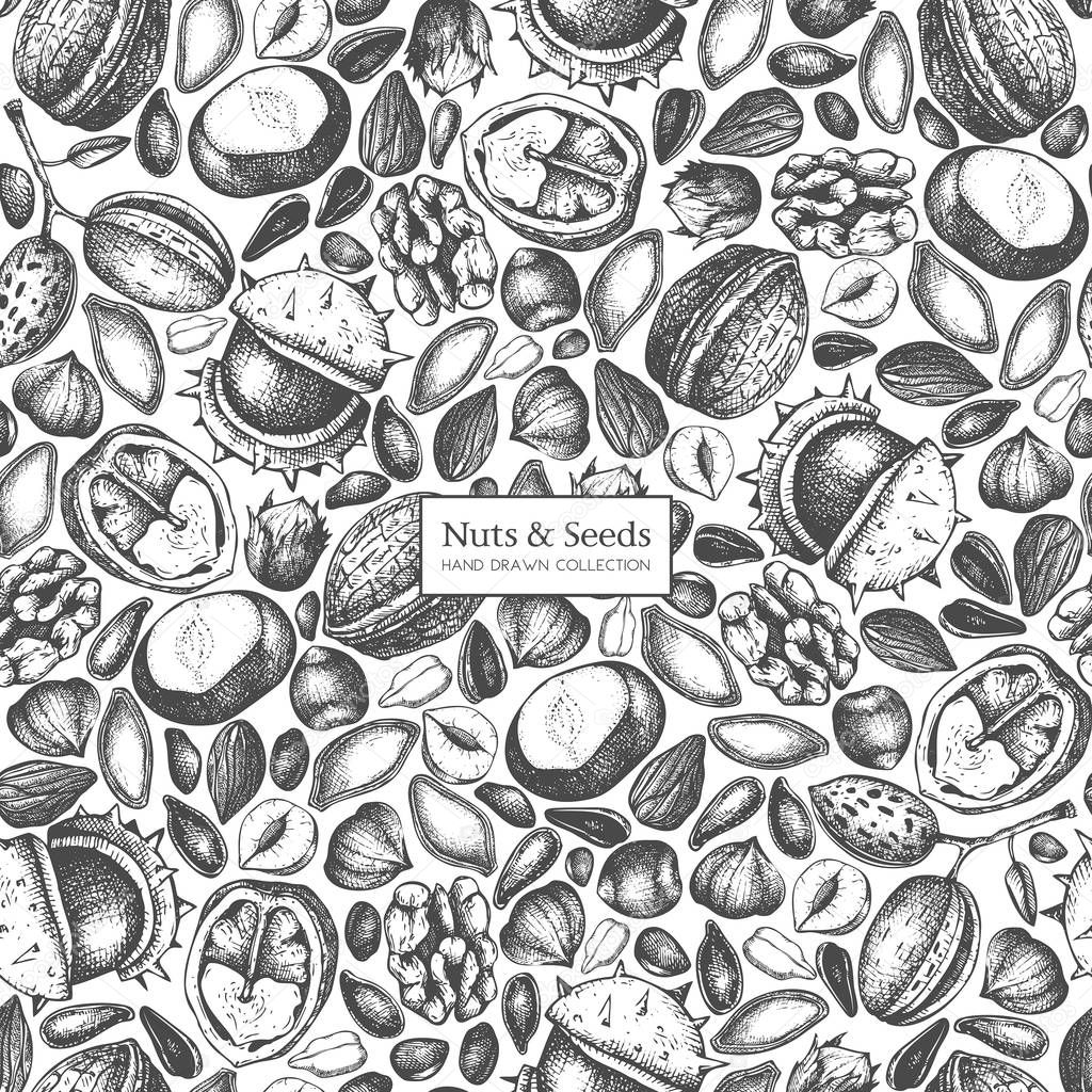 Hand drawn poster with different kinds of nuts and seeds on white background