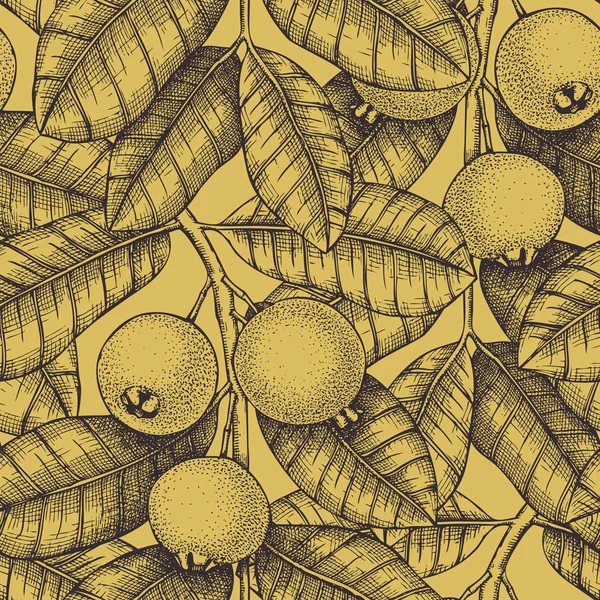 马龙树叶和浆果在手绘风格 矢量插图 设计元素白色背景 — 图库矢量图片