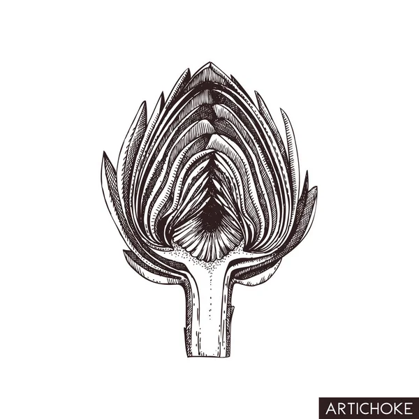 Artichoke Graphic Style Vector Illustration — Stock Vector