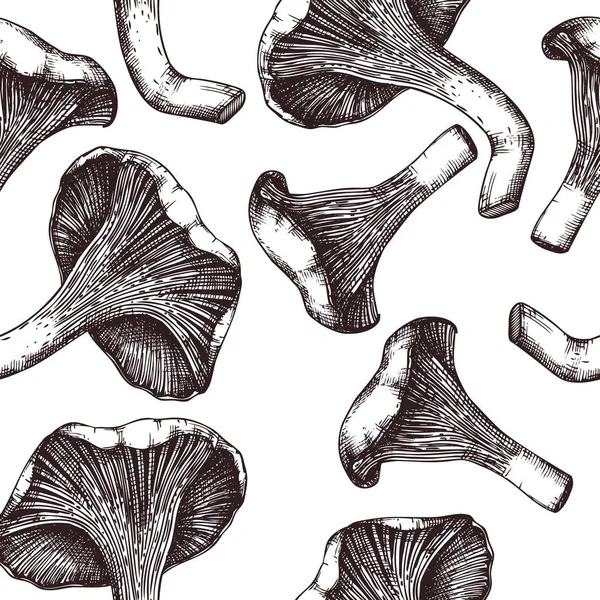 Seamless Vector Pattern Chanterelle Mushrooms — Stock Vector