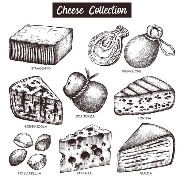 Surtido Diseño Queso Estilo Gráfico Ilustración Vectorial — Archivo Imágenes Vectoriales