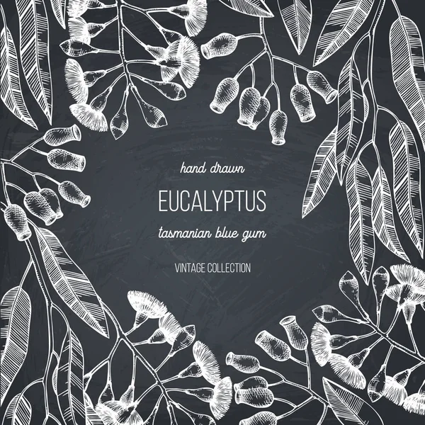 Graphischer Vektorrahmen Für Eukalyptuspflanzen — Stockvektor
