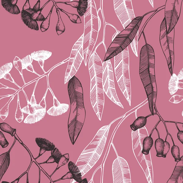 Здоровые Травы Эвкалиптовые Растения Ручной Работы — стоковый вектор