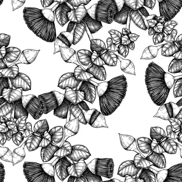 Hojas Flores Eucalipto Rodantha Estilo Dibujado Mano Ilustración Vectorial Elementos — Archivo Imágenes Vectoriales