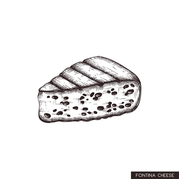 Fontina Käse Vektor Grafische Illustration — Stockvektor