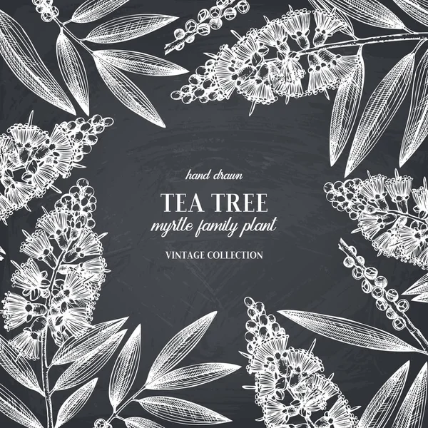 茶树树叶和花朵在手绘风格 矢量插图 设计元素在黑板风格 — 图库矢量图片