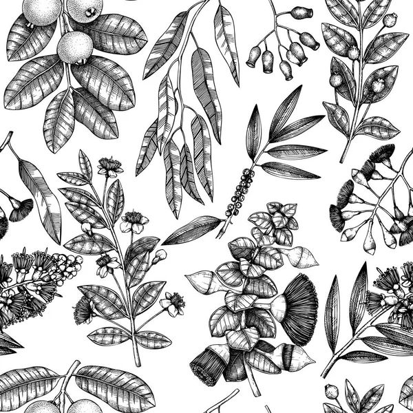 Vector Myrtle Family Plants Design Illustration Florale Dessinée Main Croquis — Image vectorielle