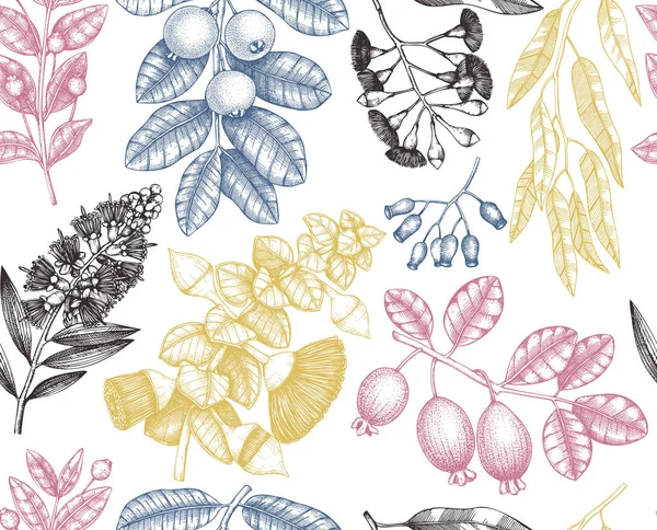 Colorful Myrtle Family Plants Design Hand Sketched Floral Illustration Botanical — Stock Vector