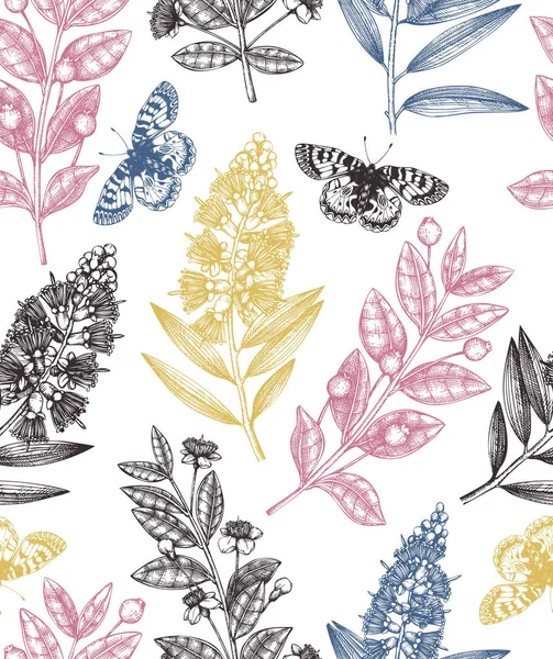 向量桃金娘家族植物设计 手绘花卉插图 植物素描与浆果 花卉和叶子 复古风格模板 — 图库矢量图片