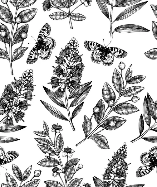 Vector Myrtle Familie Planten Ontwerpen Hand Geschetst Floral Illustratie Botanische — Stockvector