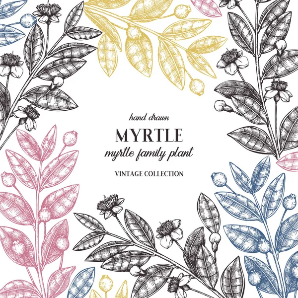 Vector Myrtle Tree Design Hand Skissade Blommig Illustration Botaniska Ram — Stock vektor