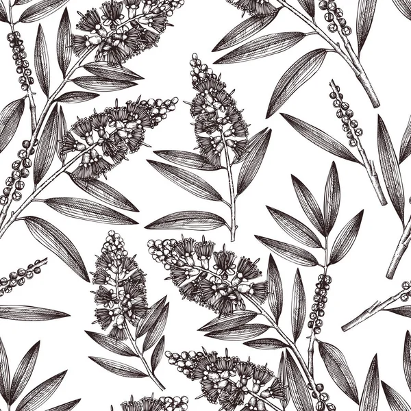 茶树树叶和花朵在手绘风格 矢量插图 设计元素在白色背景 — 图库矢量图片