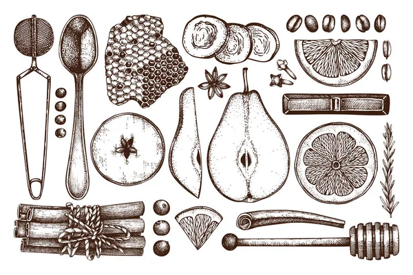 Diverses Épices Fruits Miel Vecteur Illustration Set — Image vectorielle