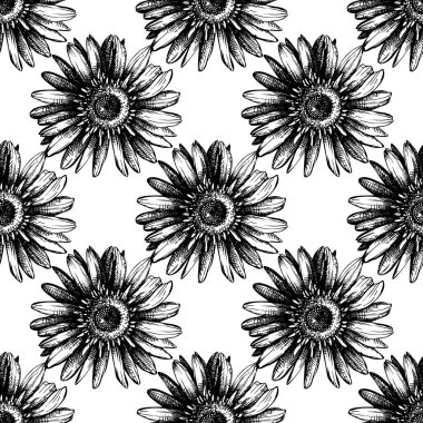 Elle çizilmiş tıbbi bitki kroki. Seamless modeli.