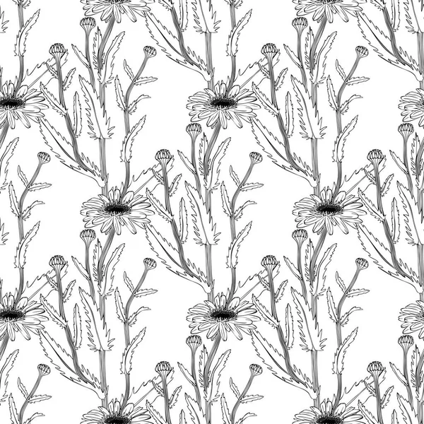 ภาพสเก็ตช์พืชที่วาดด้วยมือ รูปแบบไร้รอยต่อ . — ภาพเวกเตอร์สต็อก