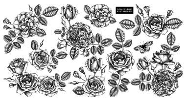 vektör kümesi elle çizilmiş Düğün Buketler