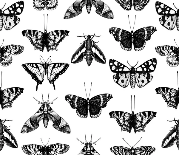 Mariposas tiradas a mano — Archivo Imágenes Vectoriales