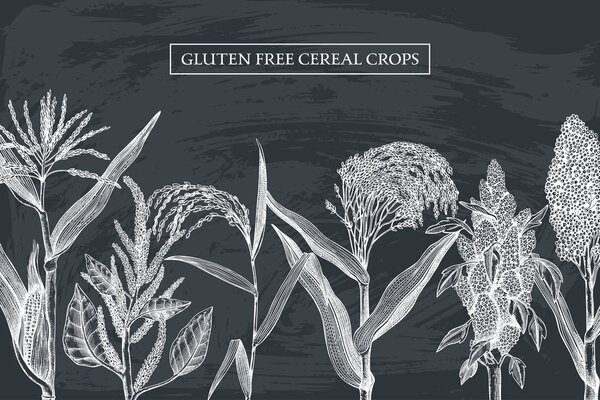 Vector seamless pattern with hand drawn cereal crops sketches. Vintage background with industrial crops illustration. Farm fresh and locally grown organic products illustration on black background
